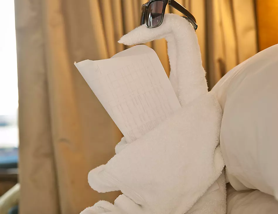 Folding artistry