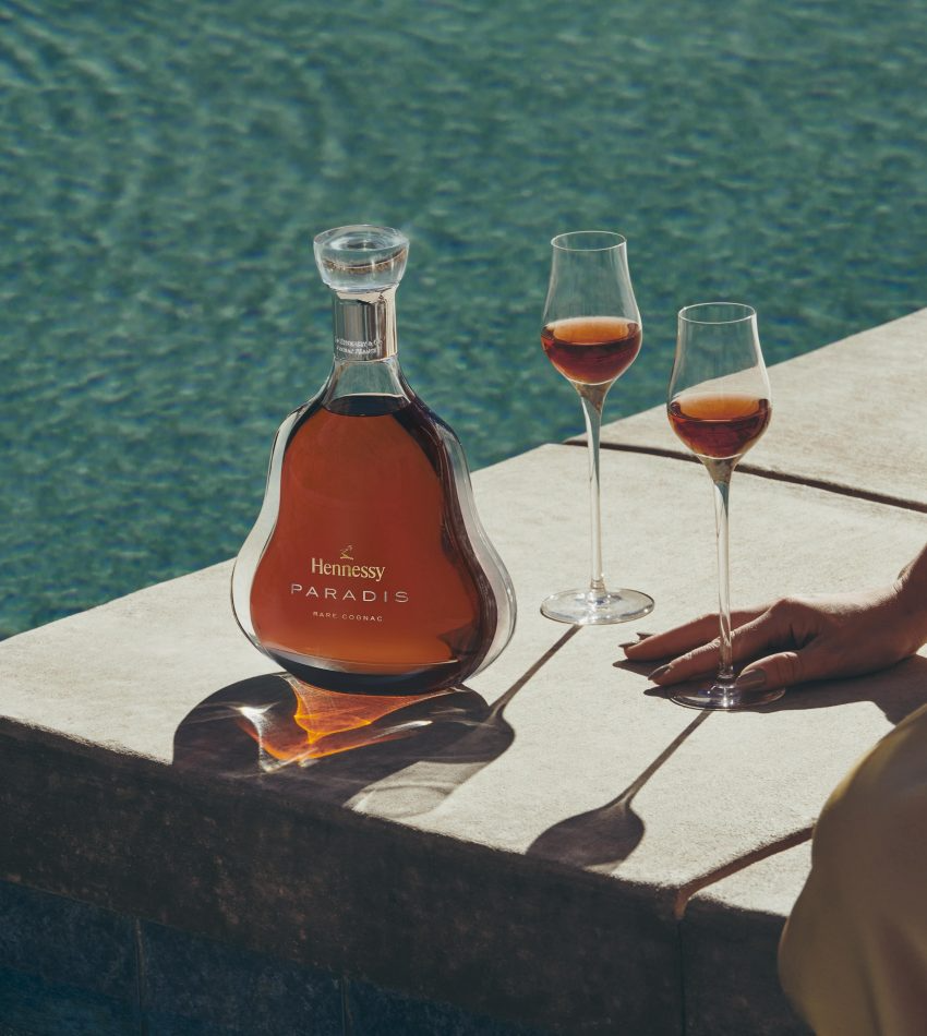 An ocean journey curated for the whole family