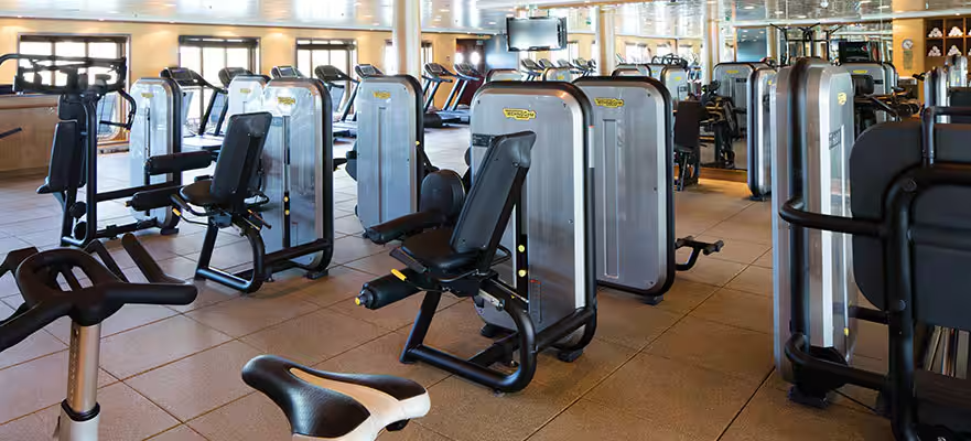 Pulse fitness