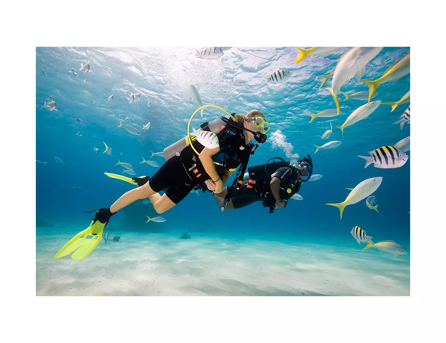 Scuba certification