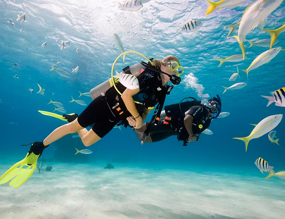 Scuba certification