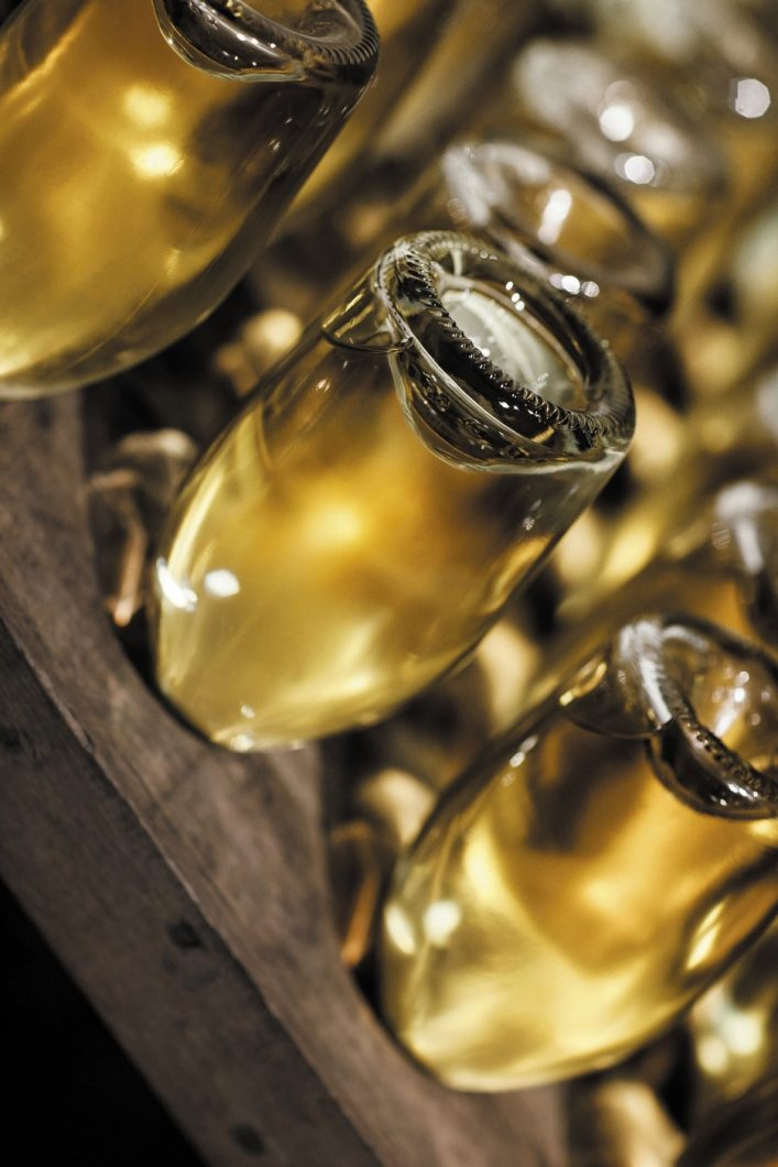 A journey of celebration