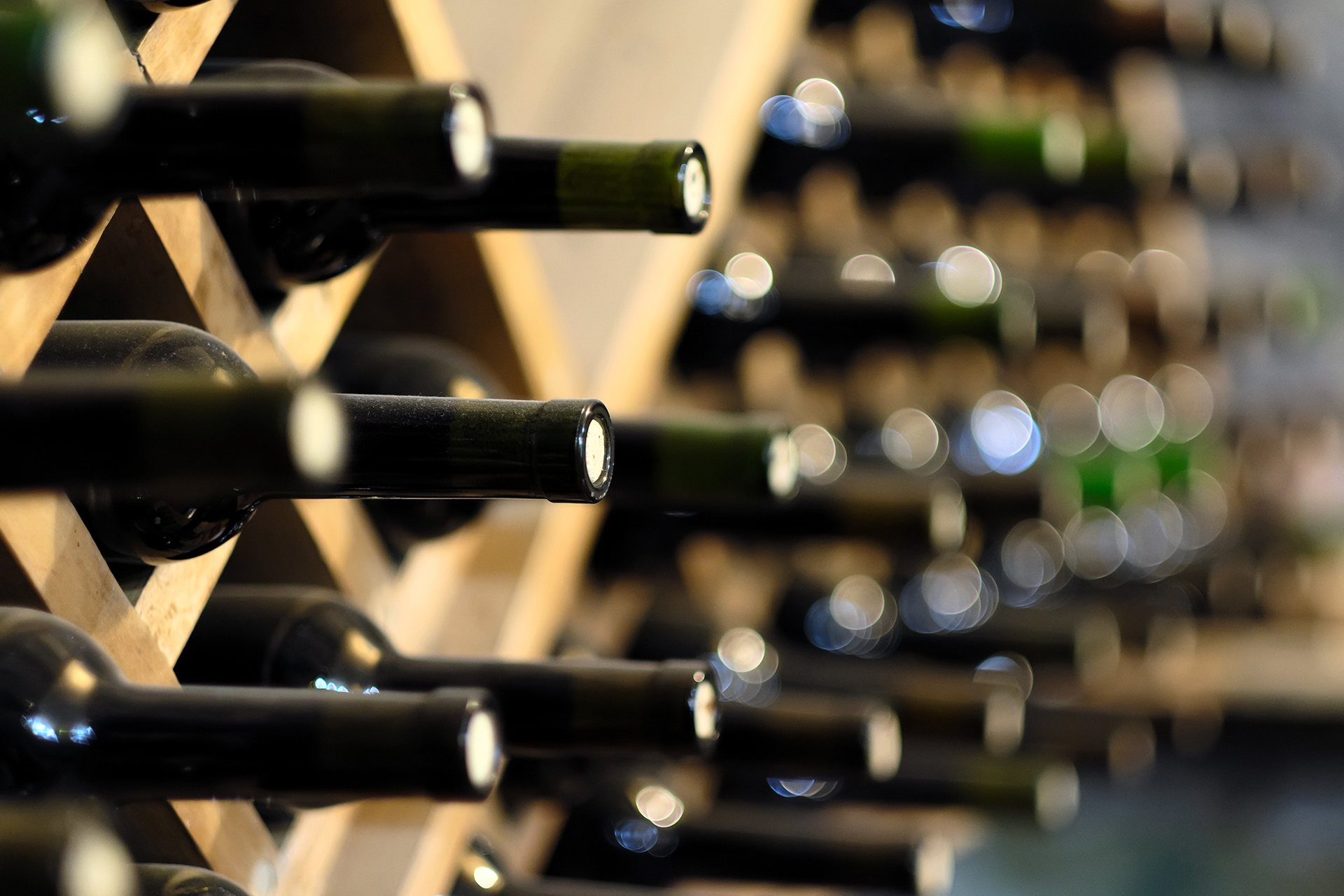 The wine cellar