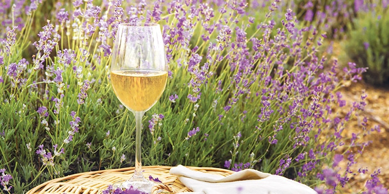 Chef led aix market tour & provencal lunch