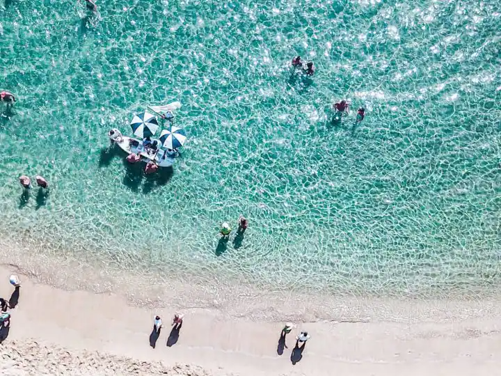 Caviar in the surf