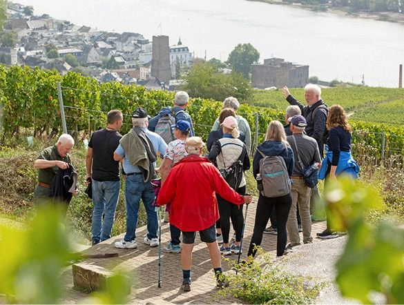 Hiking to the vineyards