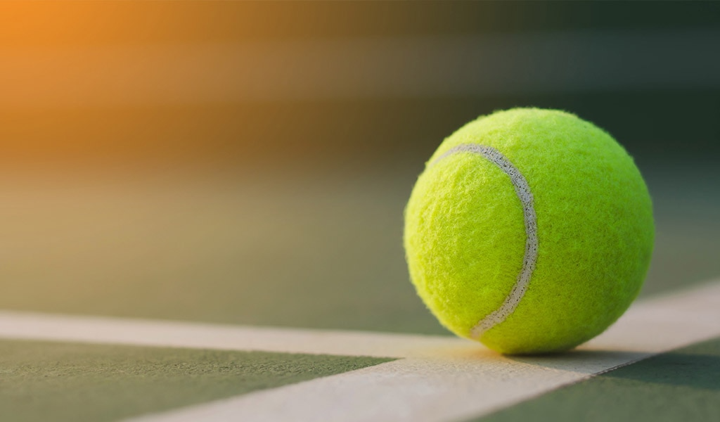 Paddle tennis court