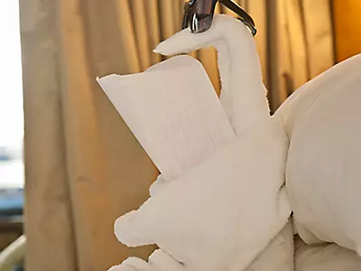Folding artistry
