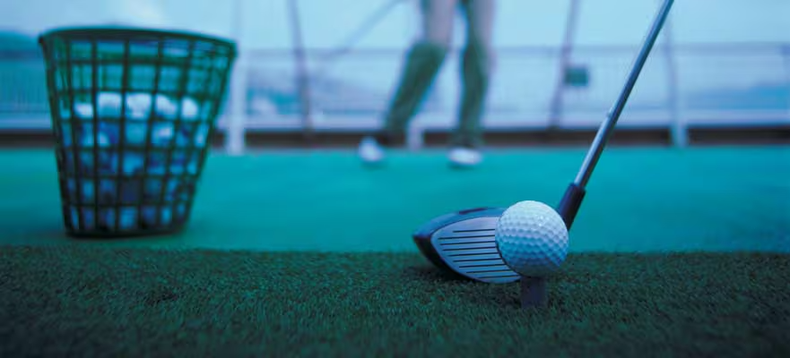 Golf driving net (2)